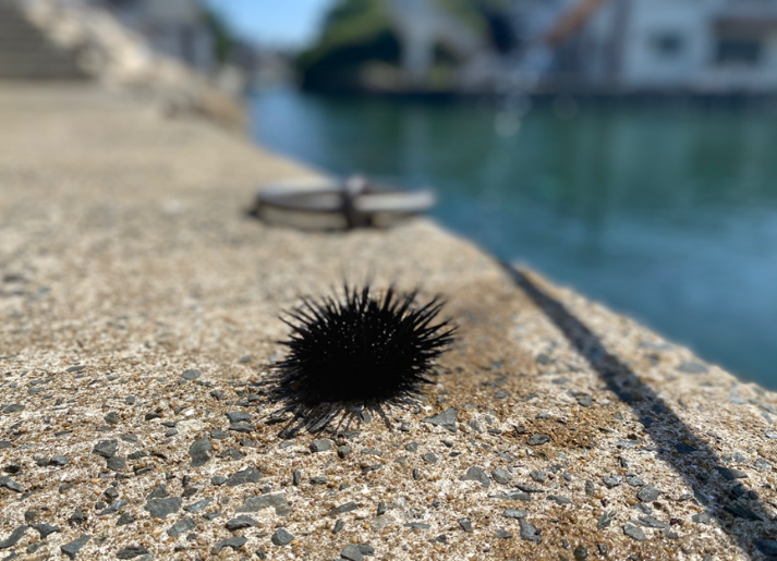 海岸の写真