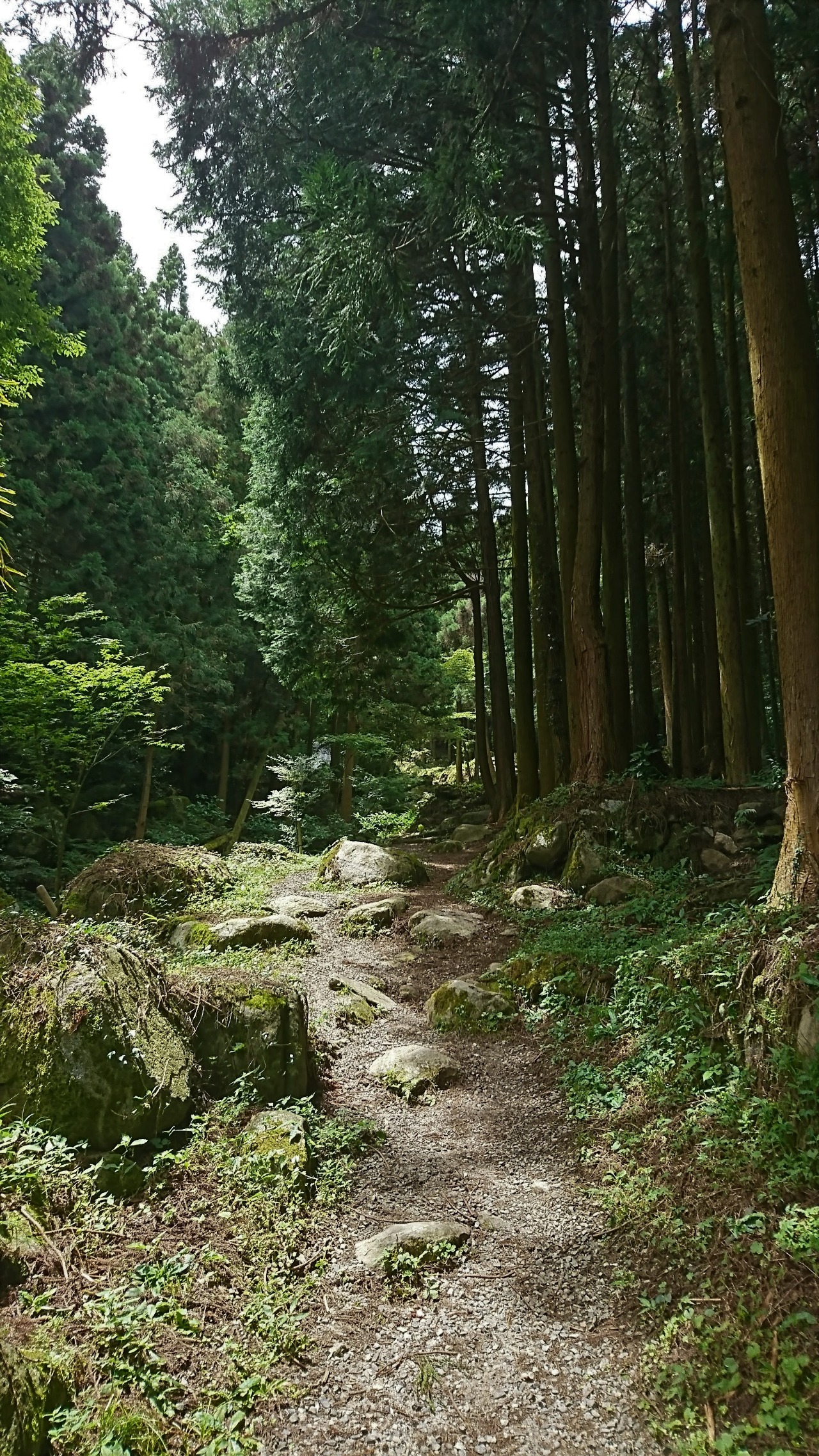 Hiking Course up to Shiraito Waterfall.