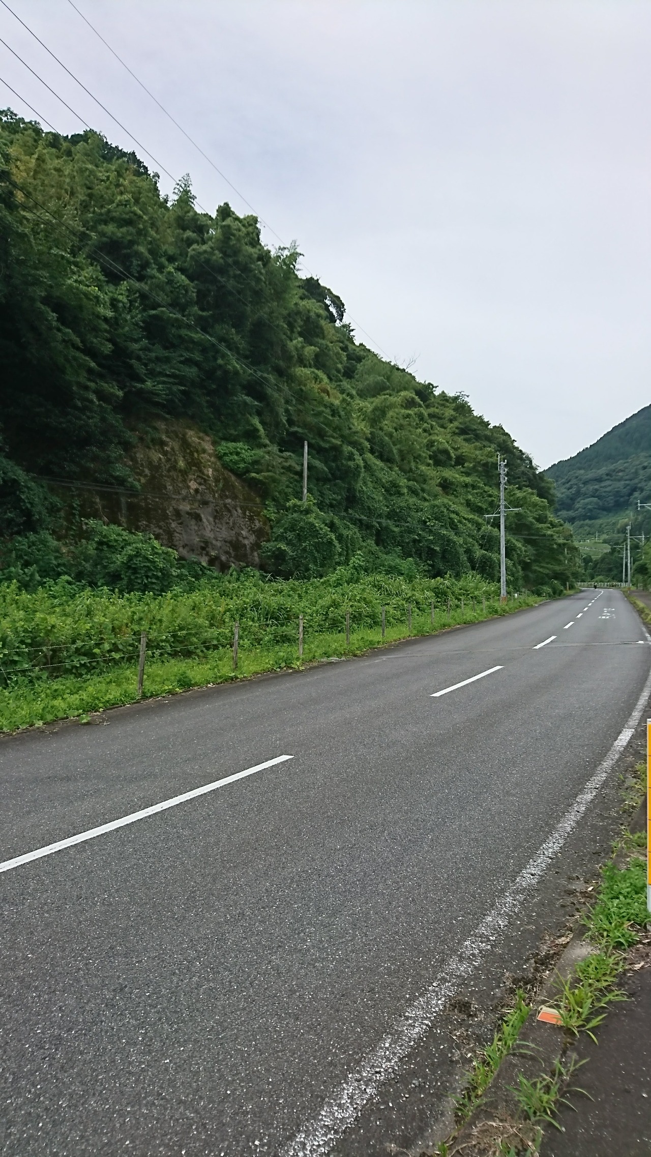 終わりの見えない山道