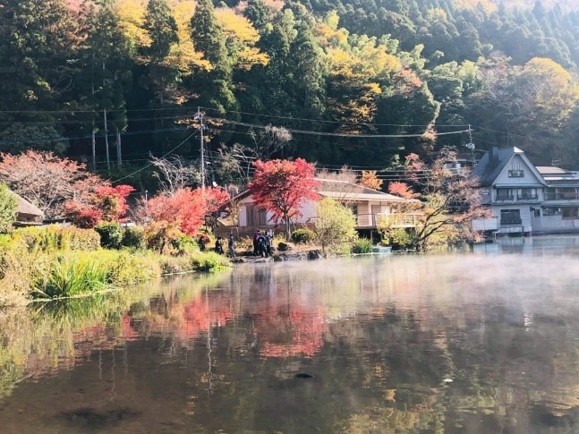 金鱗湖の紅葉写真