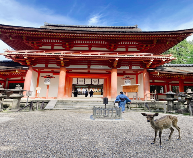 楼門とシカの写真