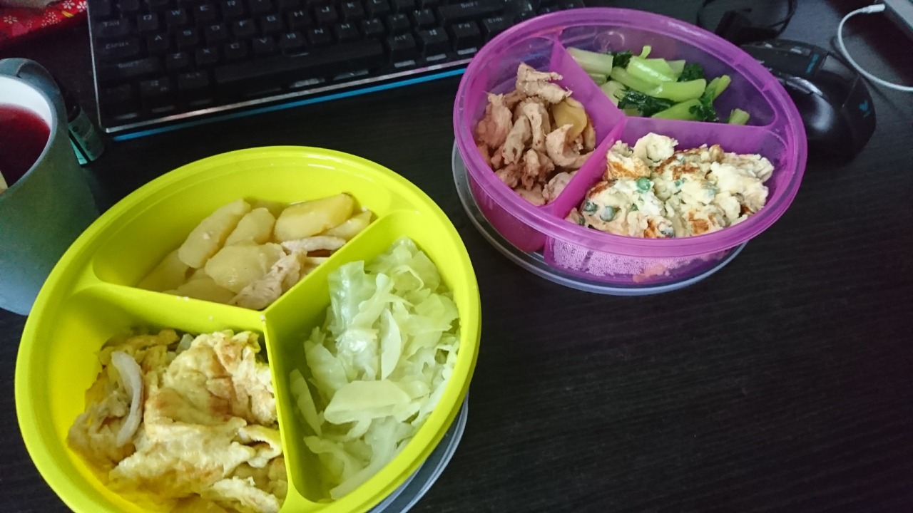 Bentos filled with home-cooked dishes