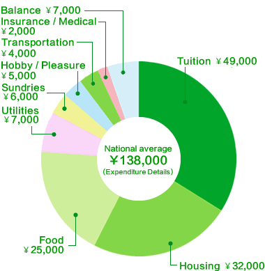 Monthly living expenses by category